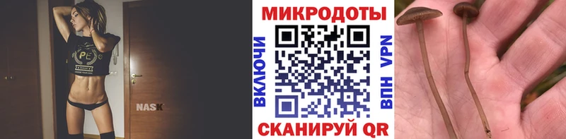Галлюциногенные грибы Cubensis  купить наркотики цена  KRAKEN tor  Томмот 
